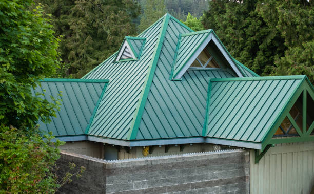 Best Asphalt Shingles Roofing  in Wright, FL