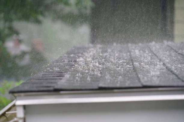 Best Rubber Roofing (EPDM, TPO)  in Wright, FL